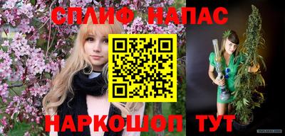 прущие грибы Кимры