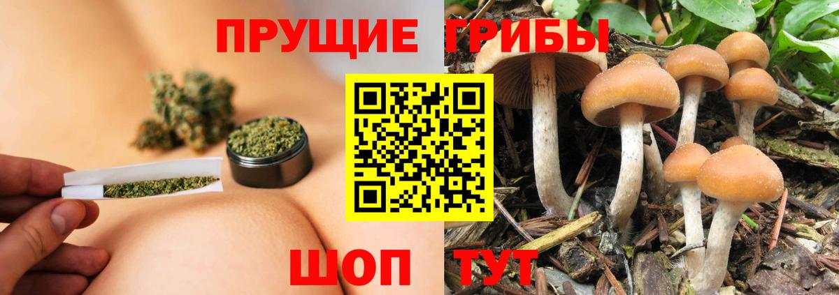 Ипатово  Галлюциногенные грибы GOLDEN TEACHER  Галлюциногенные грибы ЛСД  Вход с VPN 
